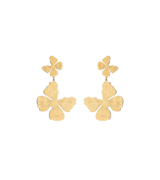 Beauty earrings